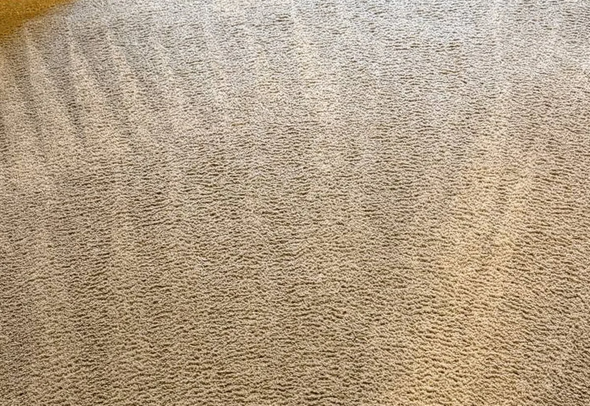 Bedroom carpet after a deep extraction clean &mdash; even colour and fresh extractor stripes.