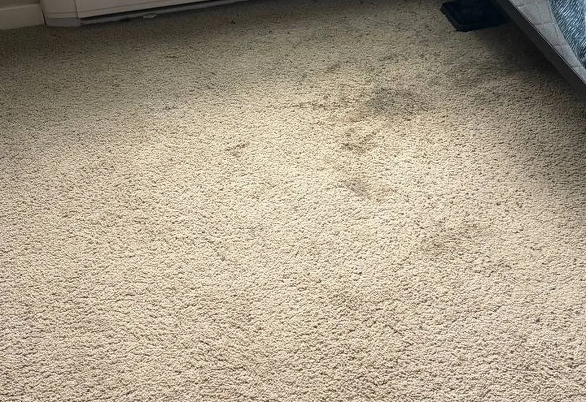 The same bedroom carpet before cleaning &mdash; flattened pile with dark soiled patches.